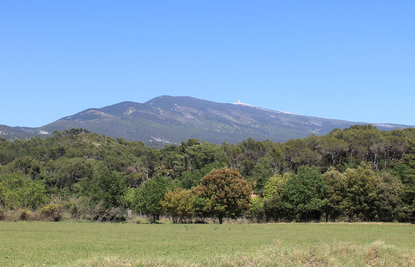 Chez Monique et Sa Fille - Chambres d'Hôtes & Gîte à Bédoin au pied du Mont-Ventoux